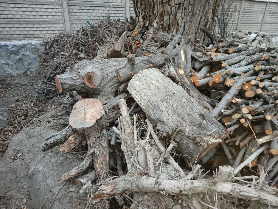 Bir ISUZU yuk moshin o'tin va kunda bor. Narxi 3 mln (bo'lishi shu).