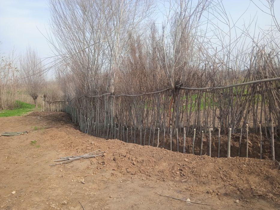 Тошккент вил Buka tumani МФИ Худаихул маххалла хоким қарори кадастр бо