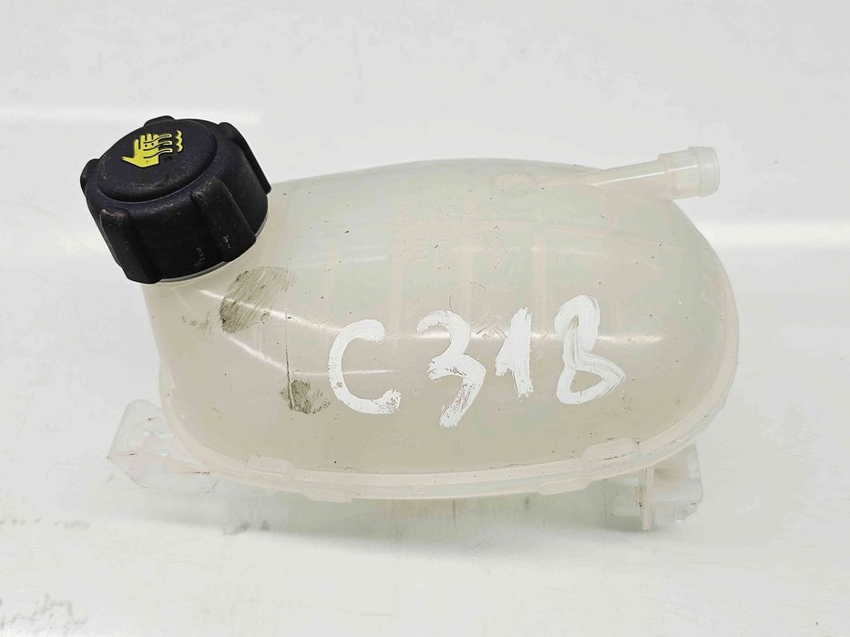 Vas expansiune Dacia Jogger facelift [Fabr 2021-2025] 217102572R