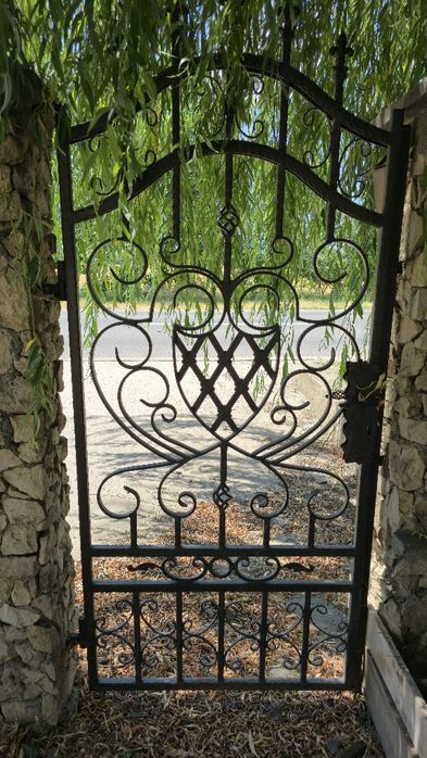 Vând poartă auto,poartă pietonală și 5 panouri de gard din fier forjat