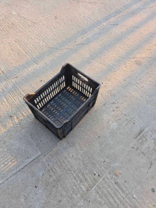Пластмасови щайги