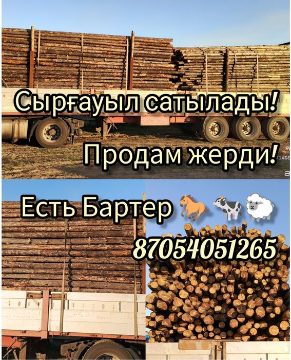 1 ком кв в центре. Р/н Достык