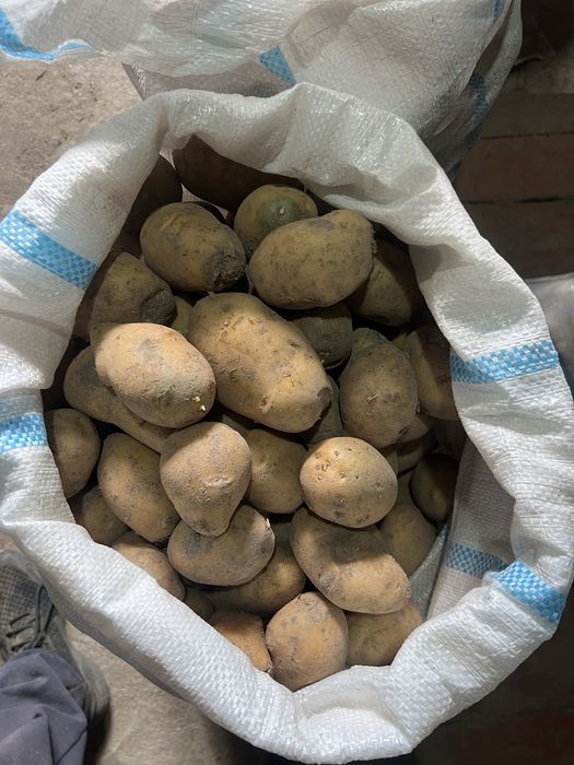 Продам Картошку 4000