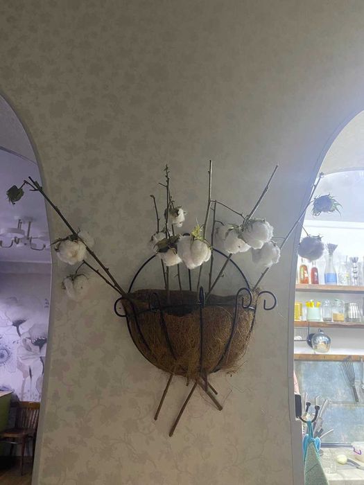 продаются веточки хлопка