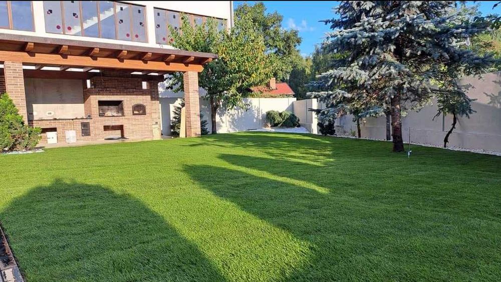 Gazon Natural Dens pentru Amenajări Profesionale