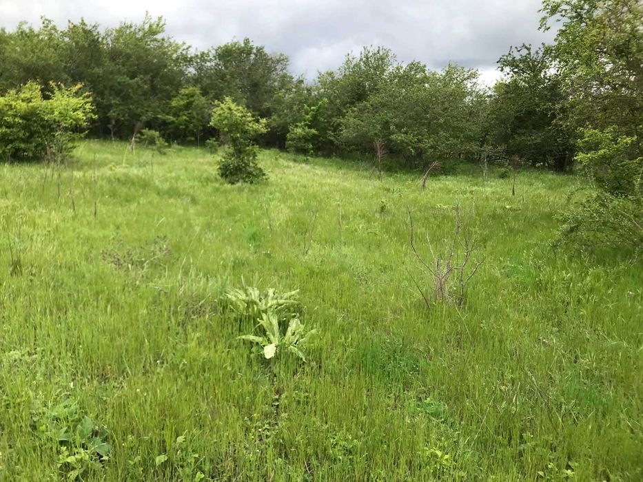 Продава се Парцел в с. Зорница, Област Варна - 550 кв.м за 46 €/кв.м - Снимка #1