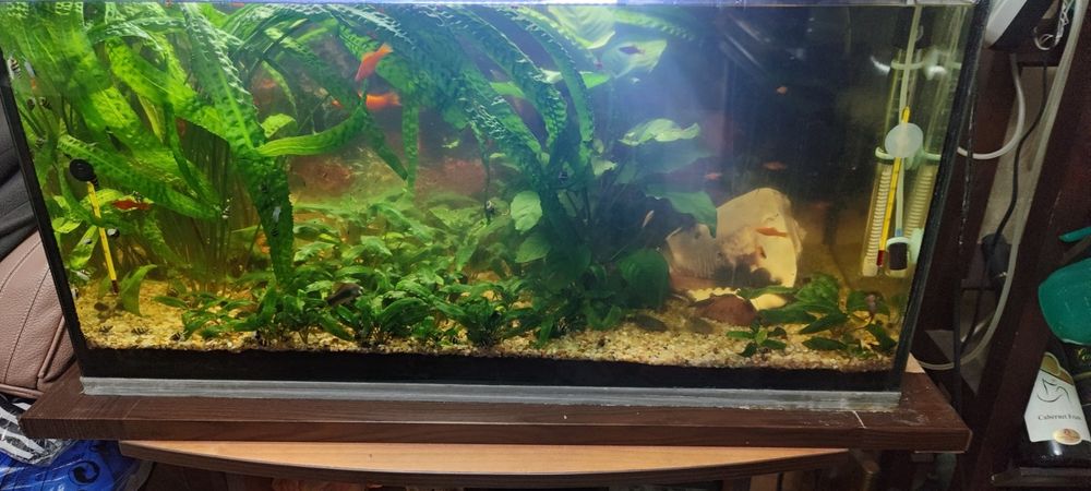 Продавам аквариум