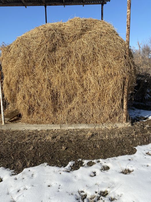 Жоңышқа сатылады 170 000