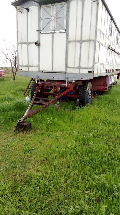 Vand pavilion apicol