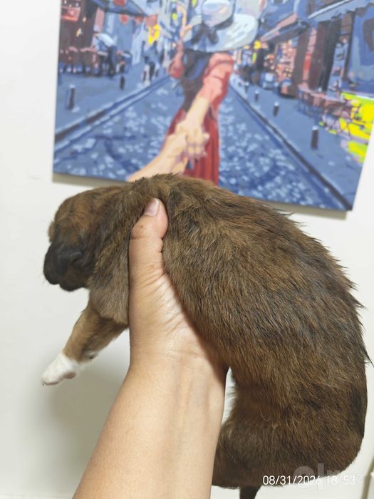 Малюсенький, но умненький