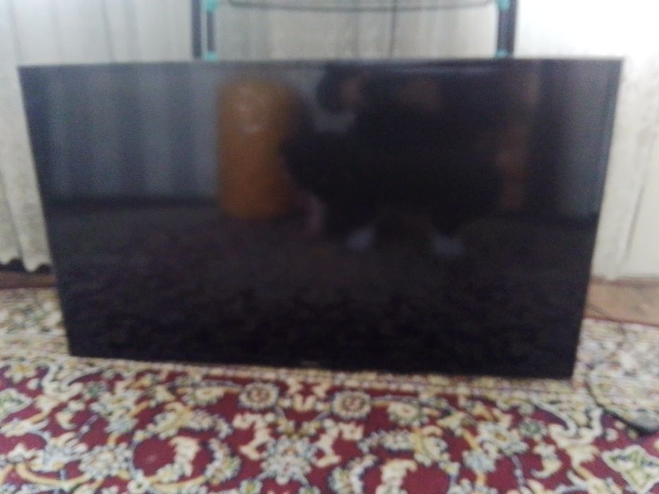 Tilvizir sotlad 40 tali samsung arginal