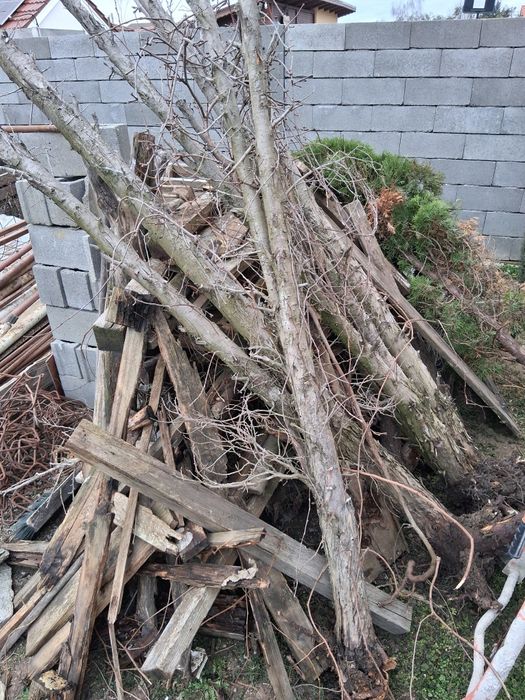 Vand 15 europaleti si lemne foc