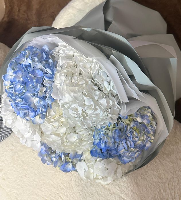 Продам красивые гортензии