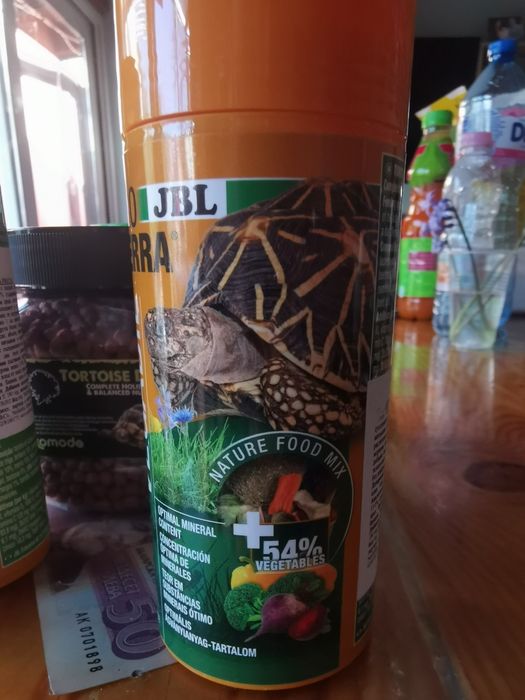 Храна за сухоземни костенурки