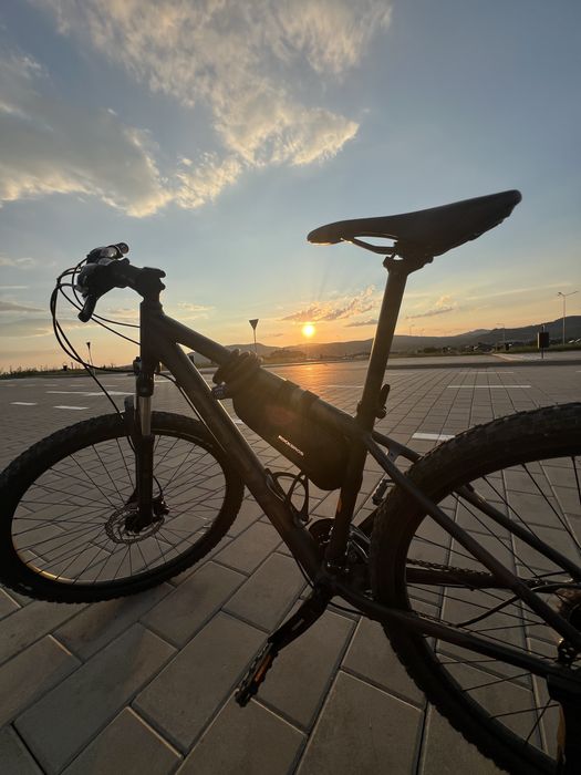Bicicleta  FOCUS WHISTLER 3.6 29DI 29" GREY