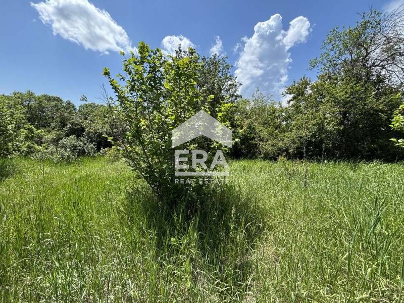 Продава се Парцел в с. Кривини, Област Варна - 967 кв.м за 26 €/кв.м - Снимка #6