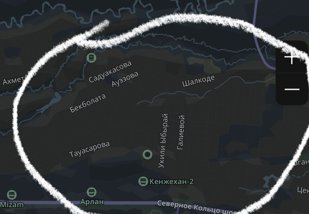 Потерялся щенок ; г. Алматы