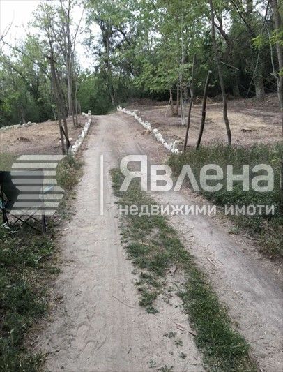 Продава се Земеделски имот в Варна, м-т Прибой -  кв.м за 85 €/дка - Снимка #1