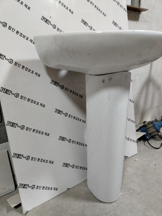 Раковина тульпан