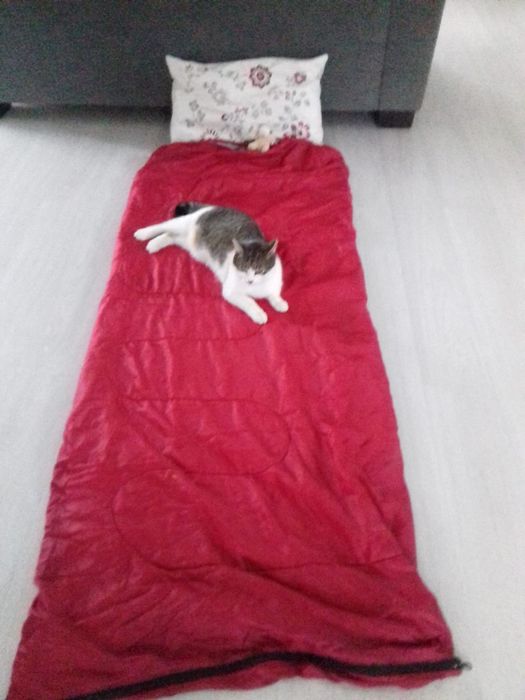 De vânzare sac de dormit