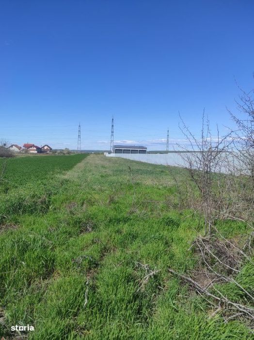 Teren extravilan 5000 mp, Albesti