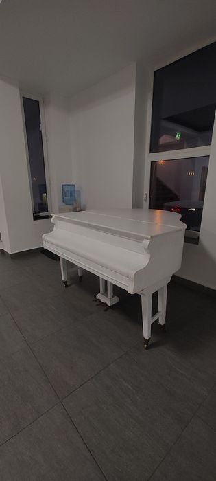 Pian Stingl Original