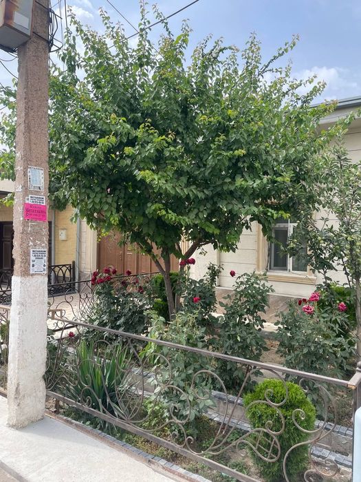 СРОЧНООО Уй сотилади, продаётся дом 3 соток 7 комнат, Сельхоз универси