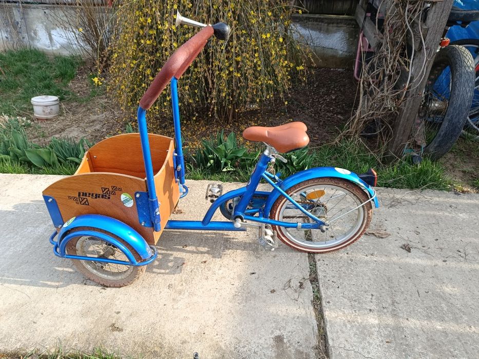 Bicicleta Pegas Cargo mini