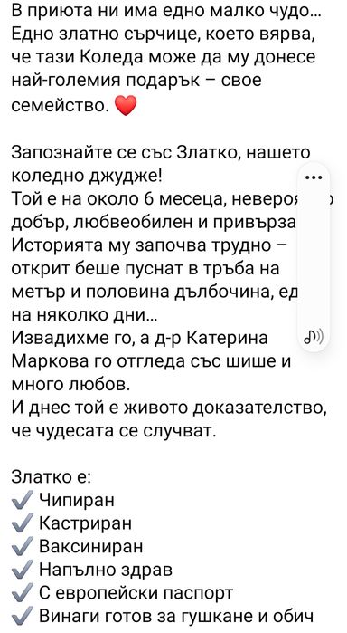 Подарява се бебе Златко