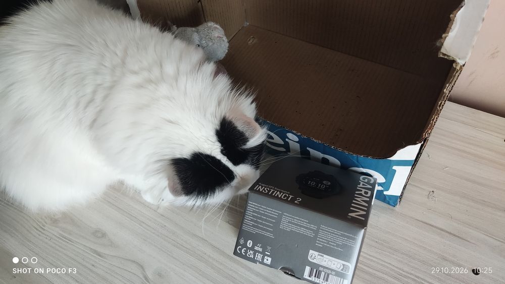 Garmin instinct 2