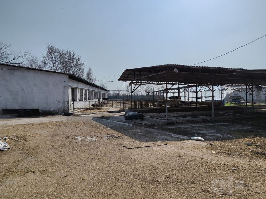 Iyik Otada ferma sotiladi (71 sotix) – Hamma sharoitlari bor