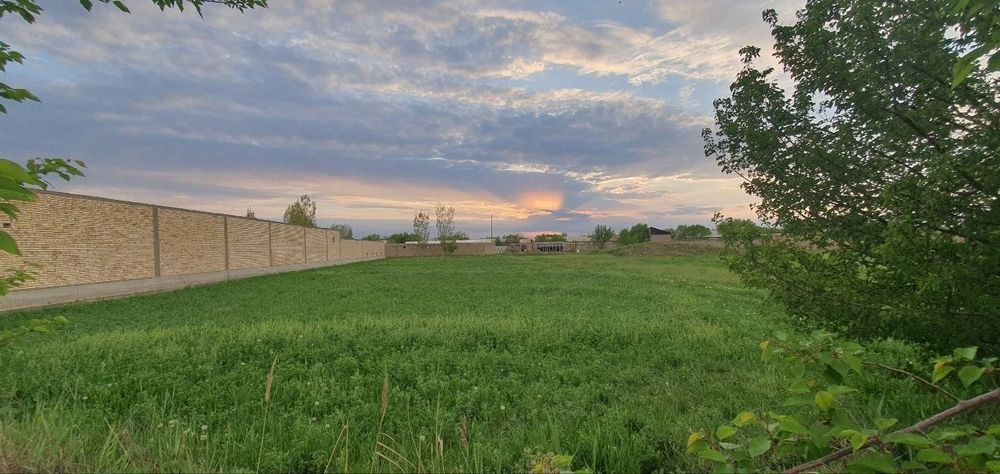 Peshku tumanida er uchaskasi sotiladi