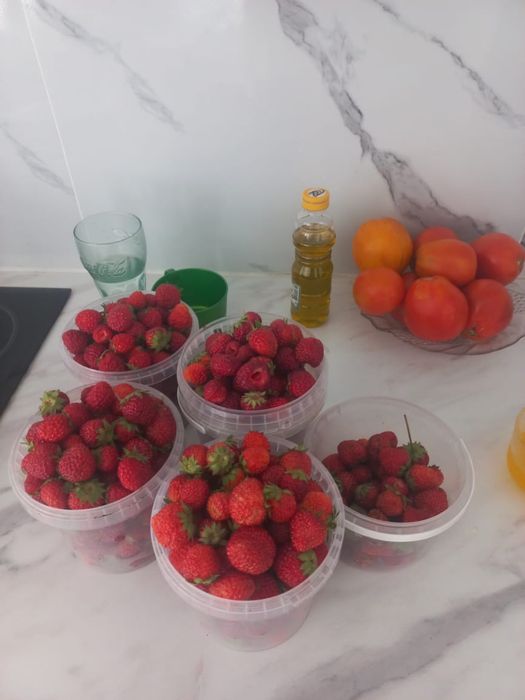 Клубника домашняя