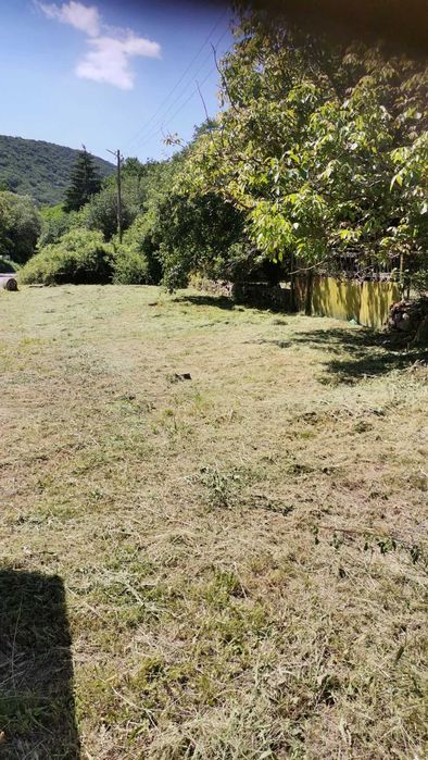 Косене. Рязане на храсти и опасни дървета. Разчистване на терени.