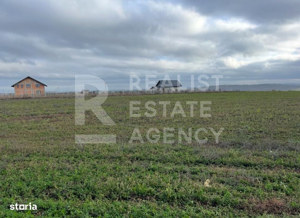 Teren 10.000 mp: 5.000 mp intravilan + 5.000 mp extravilan – Horlești