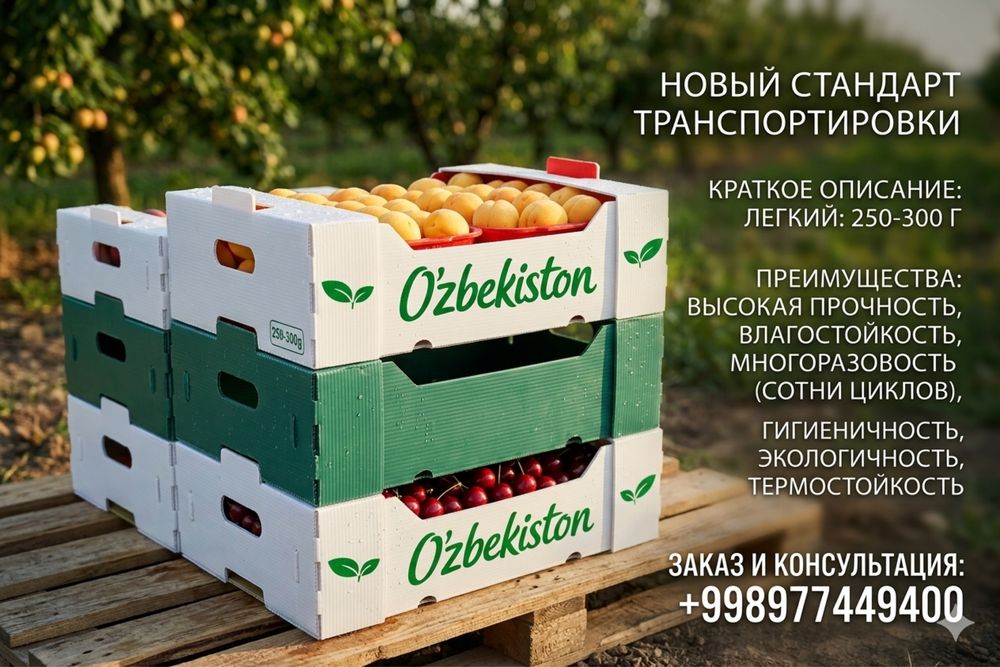 Гофрированная пластиковая коробка для фруктов и овощей, гофрапластик