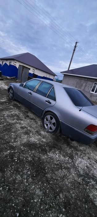 Продам кабан срочно