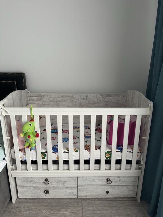 Patut Dessy 3 in 1 + saltea cocos inclusa