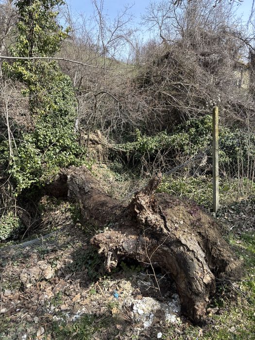 Косене на трева | Рязане на дървета | Почистване | Извозване .