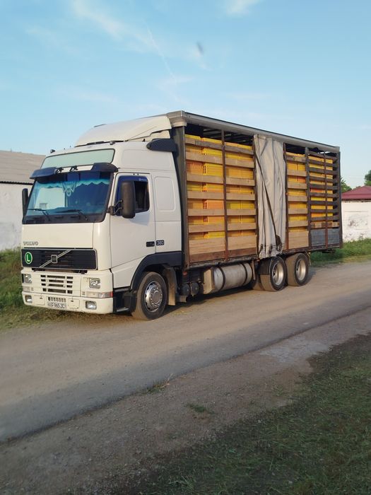 Volvo F12 sotiladi