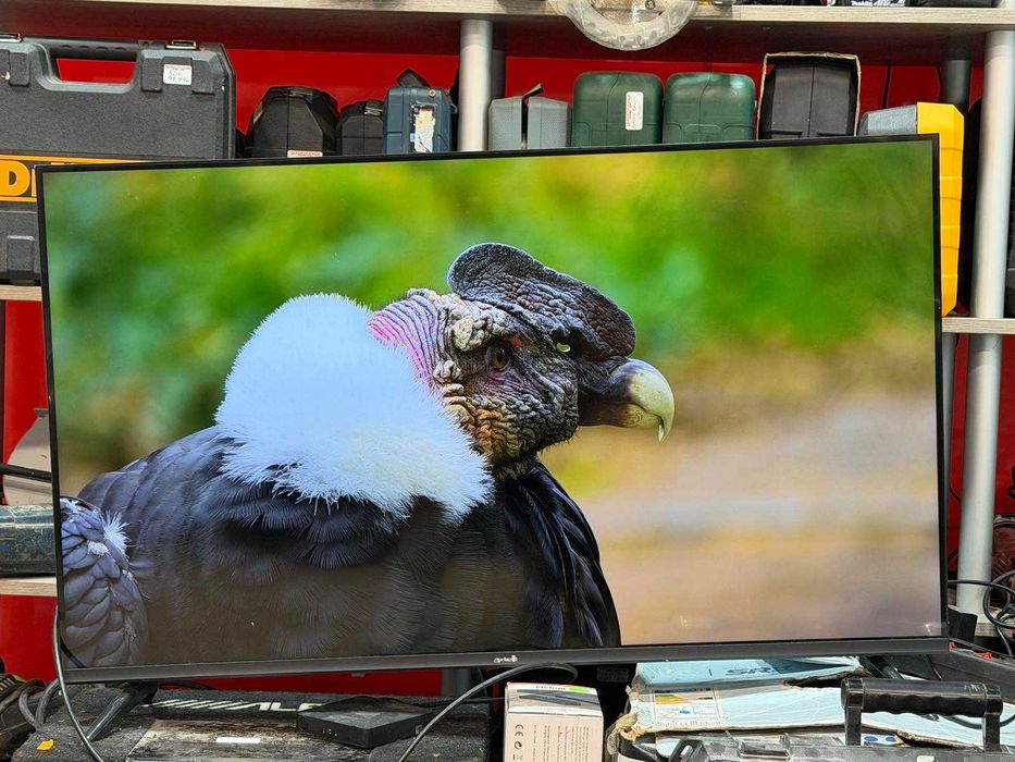 Arielli QLED 43" Smart TV (QLED-43UD10GTV)