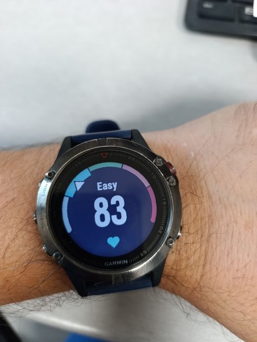 Garmin fenix 5 smartwatch
