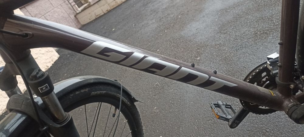 Giant roam 2.      L
