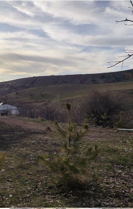 Срочно! Amirsoy зонасида жойлашган 14 сотик участкa сотилади