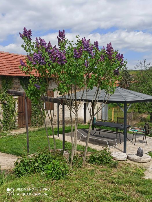 Продава се Къща в с. Кирилово, Област Стара Загора - 180 кв.м за 1100 €/кв.м - Снимка #3