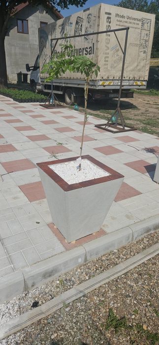 Jardiniere și Ghivece Premium realizate manual
