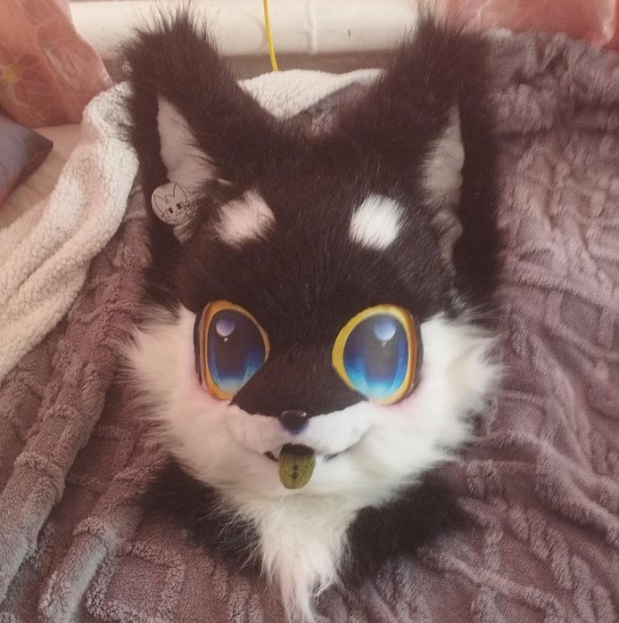 фурсьют хаски,  фурри