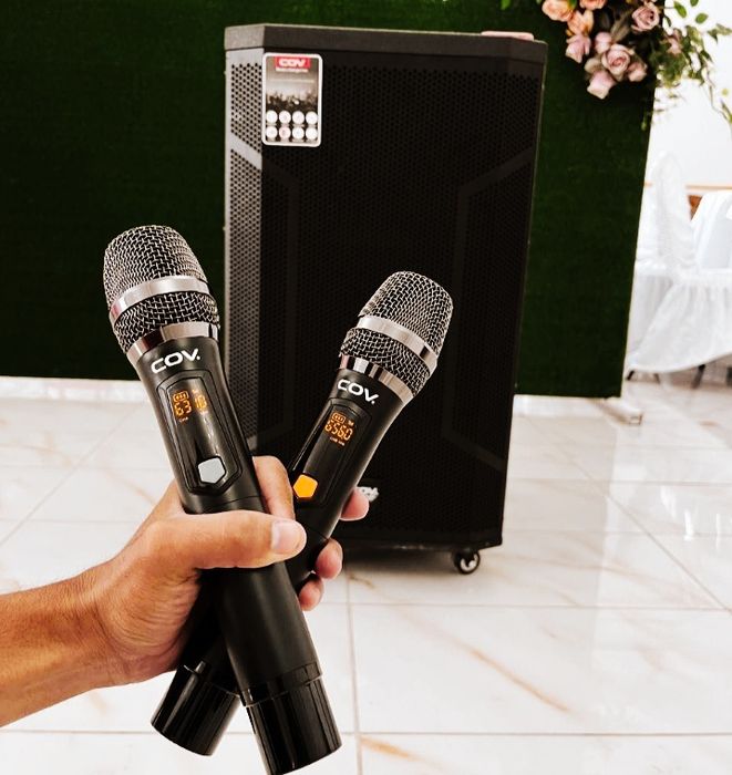 Караоке колонка Cov на 100Вт