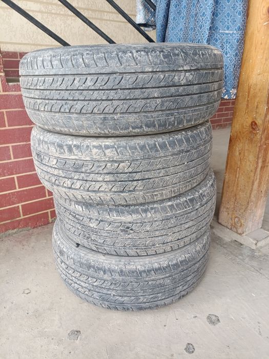 Balon Radial Minnell