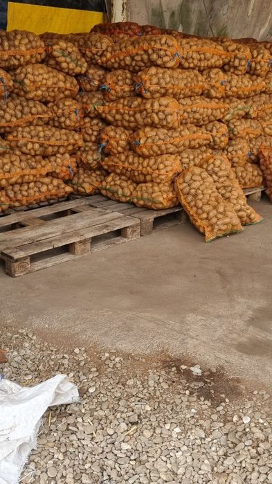 Cartofi consum alb